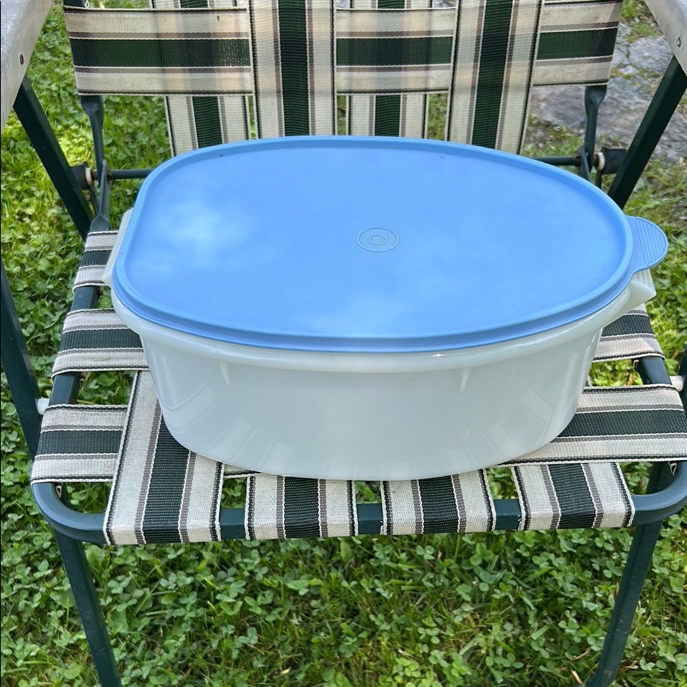Vintage Tupperware Roast Flavor saver